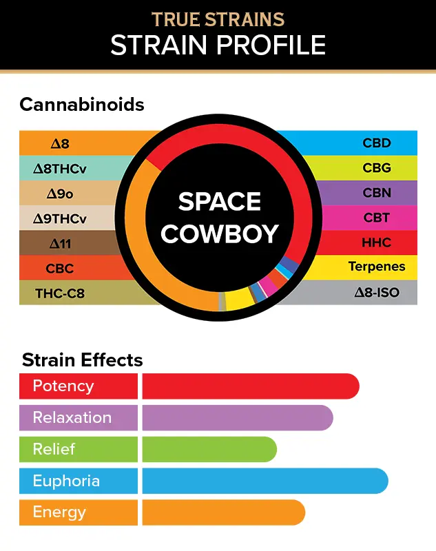 3CHI True Strains Vape Pod - 2ml - Image 13