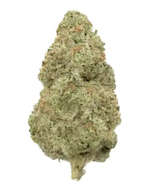 3CHI THCA Flower - Mango Dream