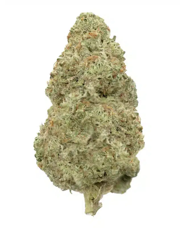 3CHI THCA Flower - Mango Dream