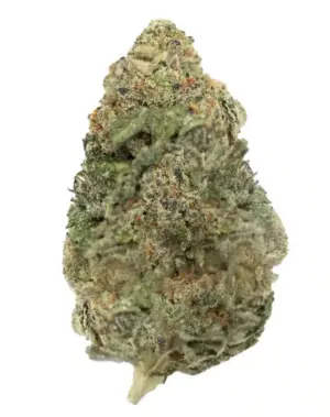 3CHI THCA Flower - Mr. Nasty