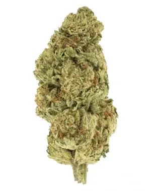 3CHI THCA Flower - Orange Creamsicle