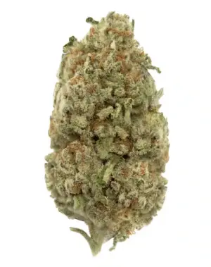 3CHI THCA Flower - White Coconut Pie